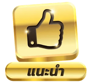 แนะนำ